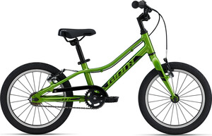 Bicykel GIANT ARX 16 F/W - 16, metallic green