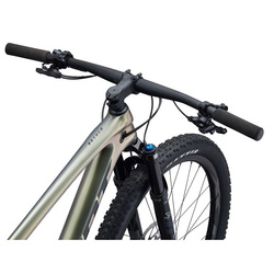 Bicykel GIANT ANTHEM Advanced 29 2 golden - M, golden haze